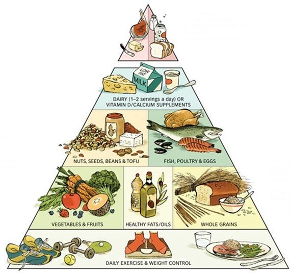 Food pyramid