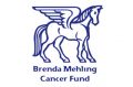 The Brenda Mehlin Cancer Fund logo