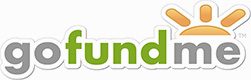 gofundme logo